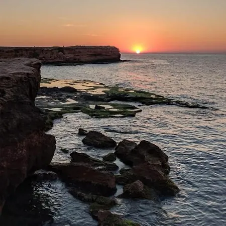 100 Mt Playa De Locos Διαμέρισμα Τορεβιέχα